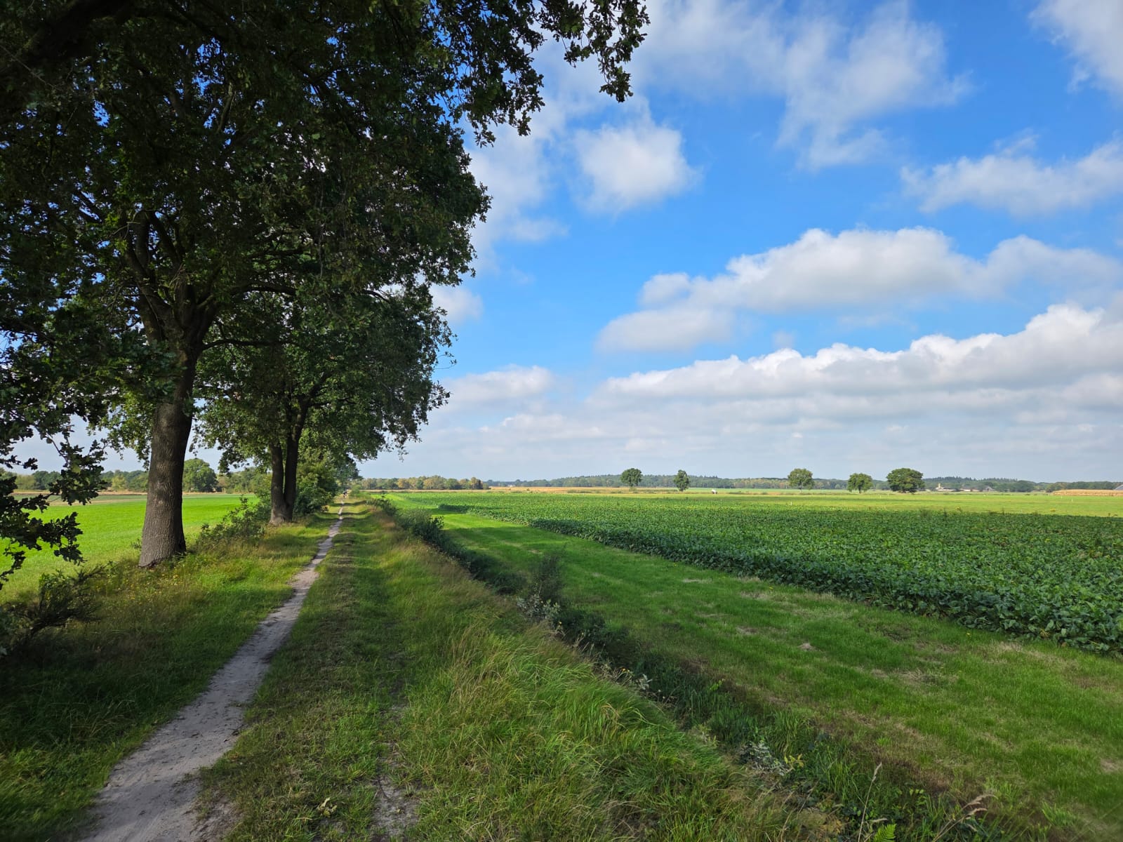 Rullens Offroad 2025 – De lussen van Wouw